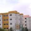 Obra Entregue Flores